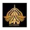 Pakistan Television Corporation Limited PTV logo